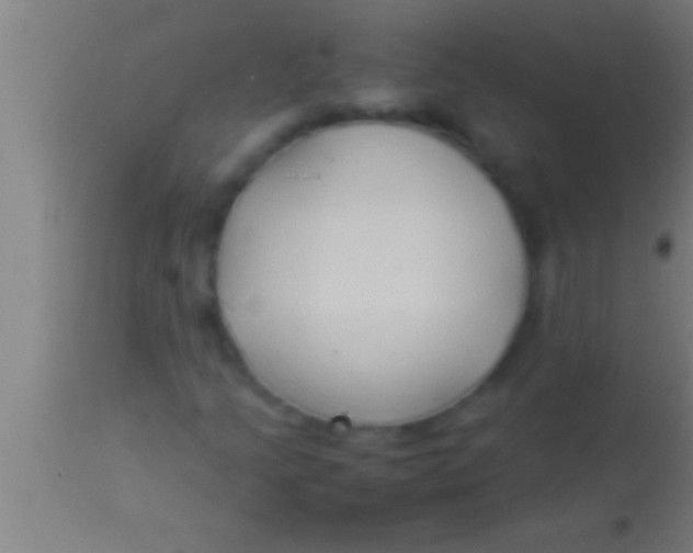 X0000113931205200910161842