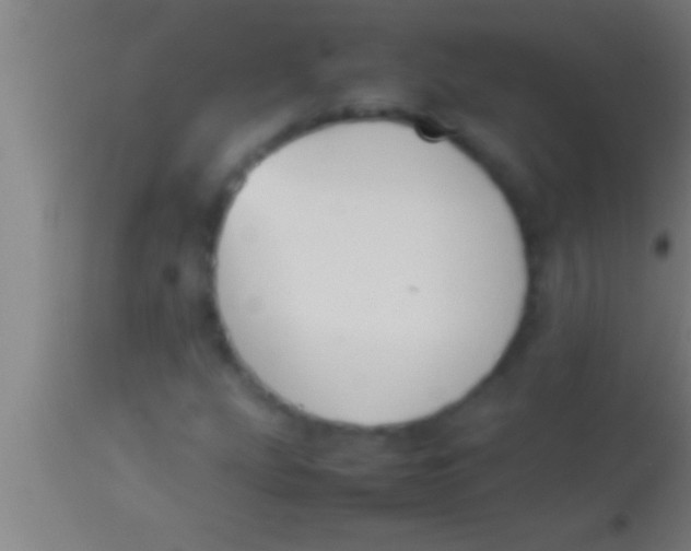 X0000113931207200910161842