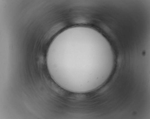 X0000113931209200910161842