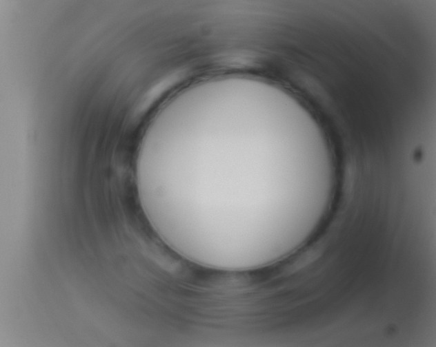 X0000113931210200910161842