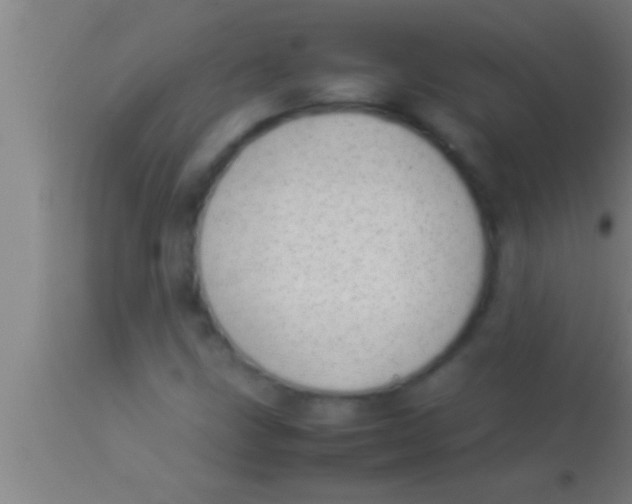 X0000113931211200910161842