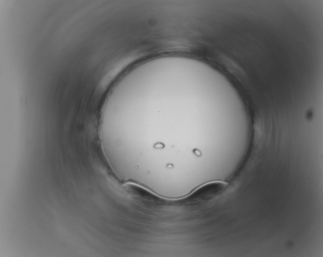 X0000113931212200910161842