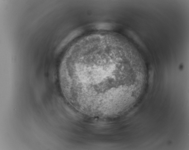 X0000113931213200910161842