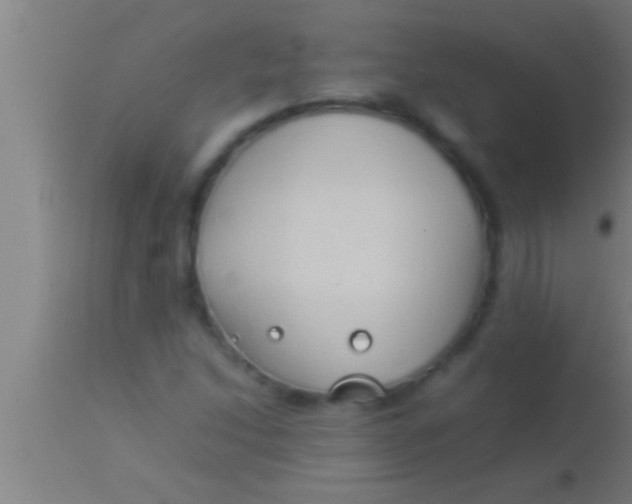 X0000113931214200910161842