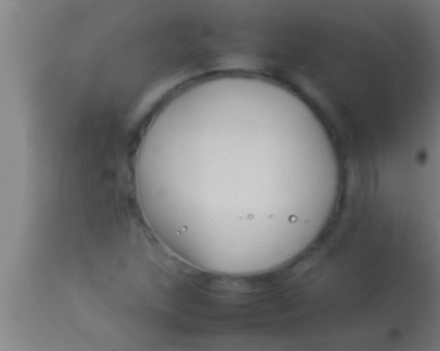 X0000113931215200910161842