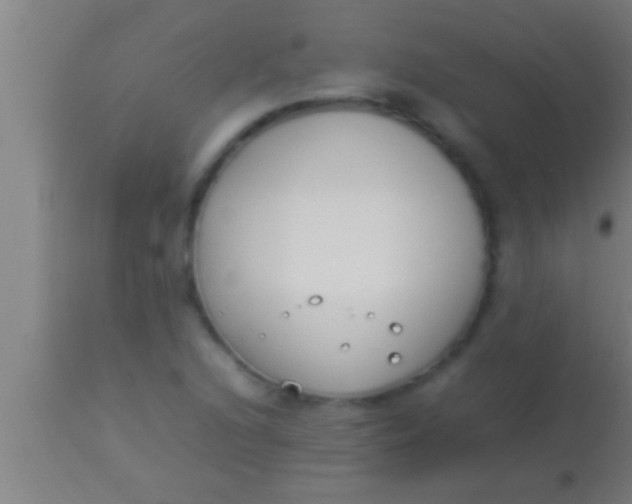 X0000113931216200910161842