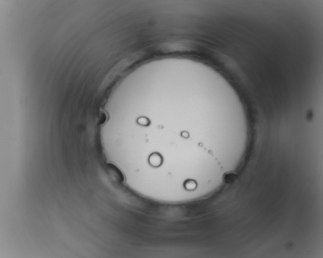 X0000113931217200910161842