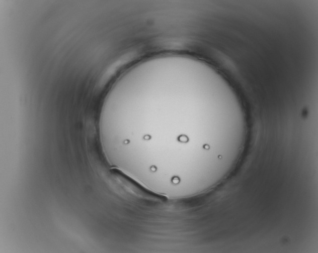 X0000113931218200910161842