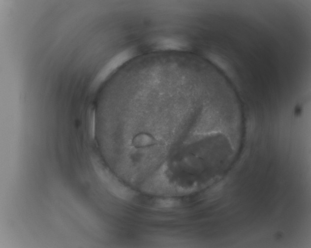 X0000113931219200910161842