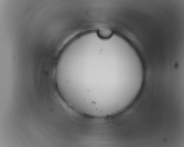 X0000113931220200910161842