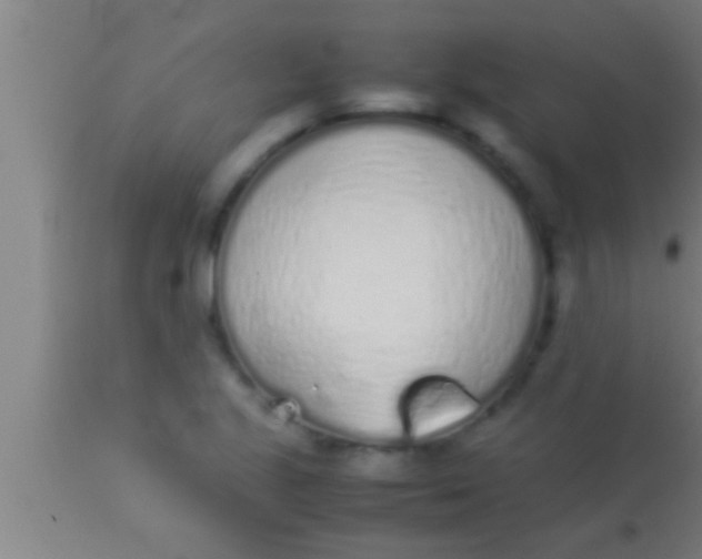 X0000113931221200910161842