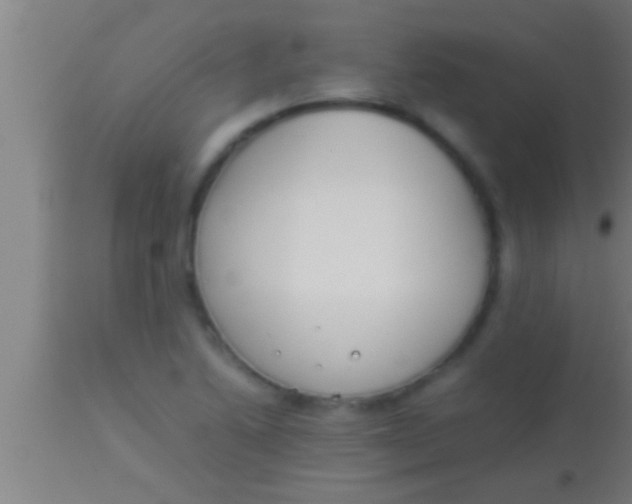 X0000113931222200910161842