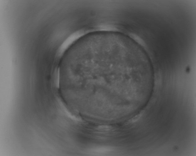 X0000113931223200910161842