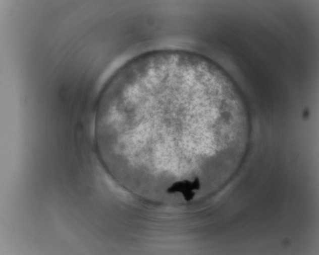 X0000113931224200910161842