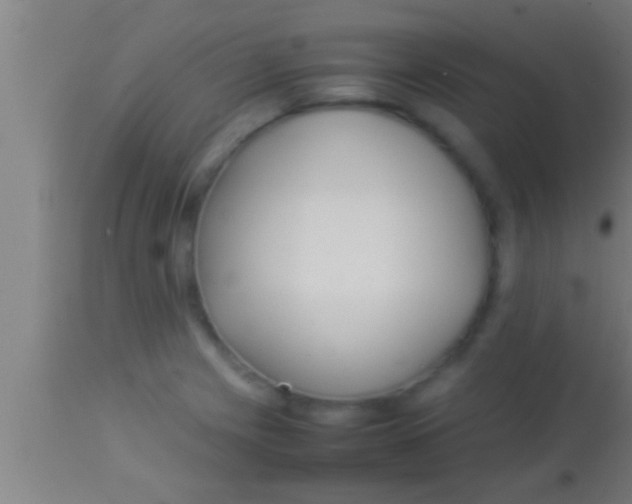 X0000113931225200910161842