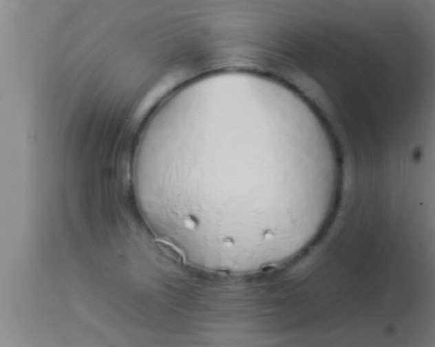 X0000113931226200910161842