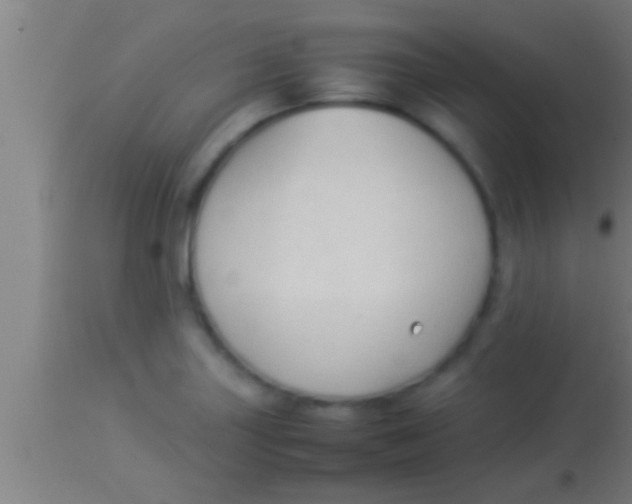 X0000113931227200910161842