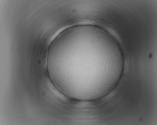 X0000113931228200910161842