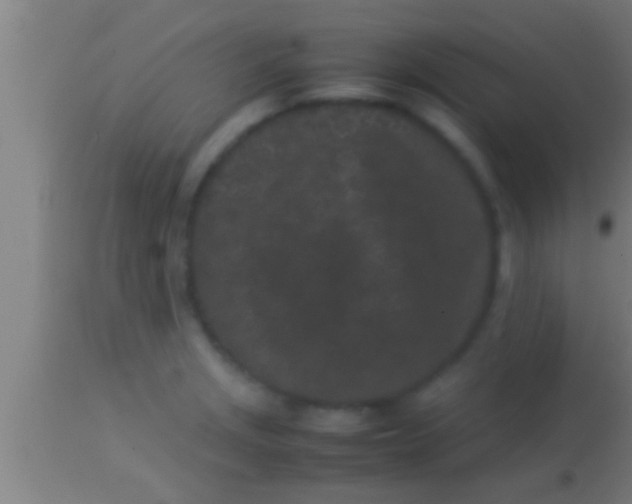 X0000113931229200910161842