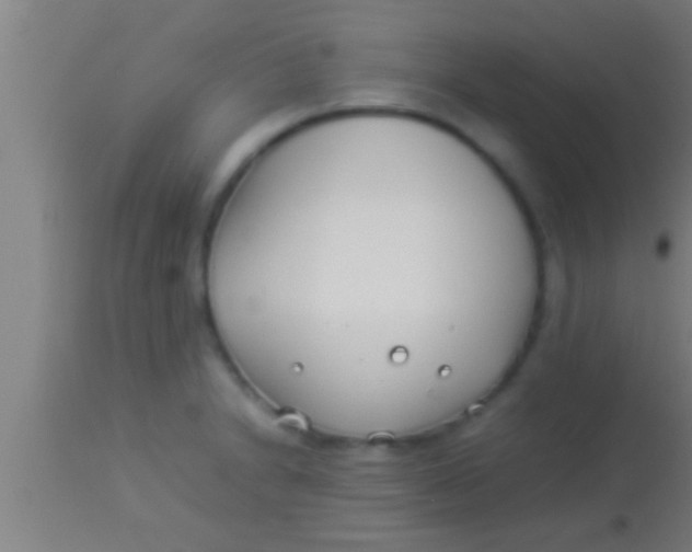 X0000113931230200910161842