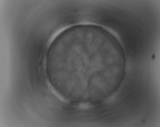 X0000113931231200910161842