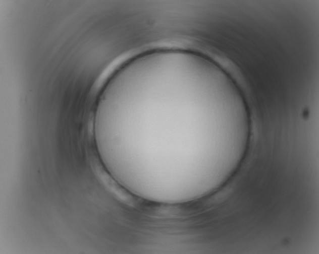 X0000113931232200910161842