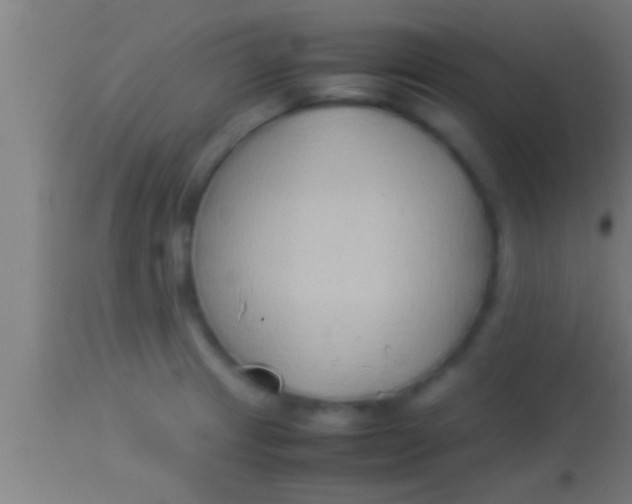 X0000113931233200910161842