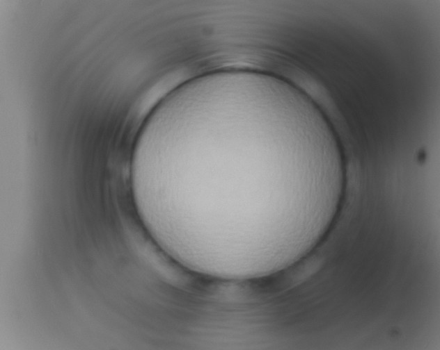 X0000113931234200910161843