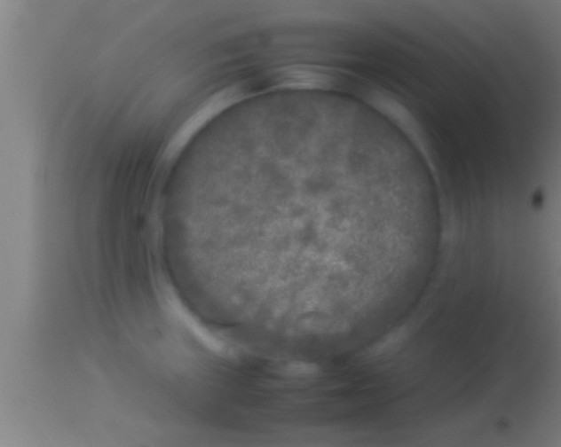 X0000113931235200910161843