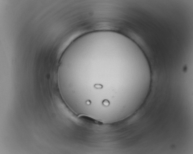 X0000113931236200910161843