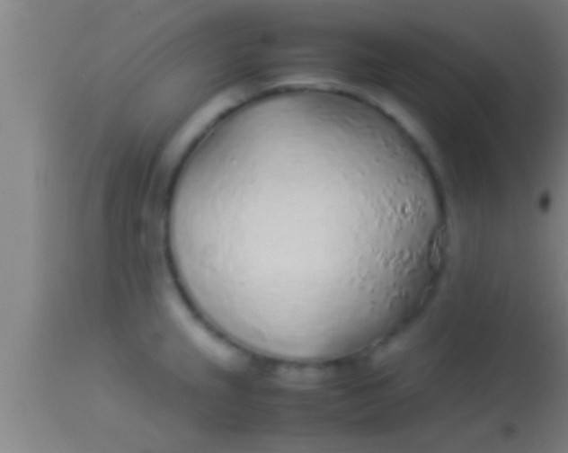 X0000113931237200910161843