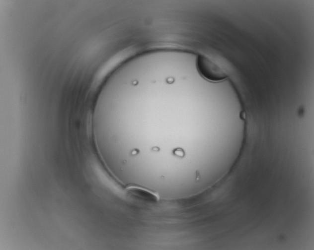 X0000113931238200910161843