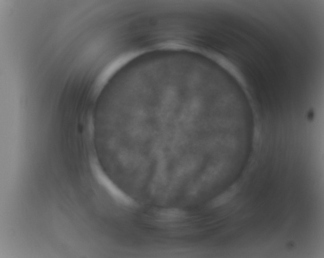 X0000113931239200910161843