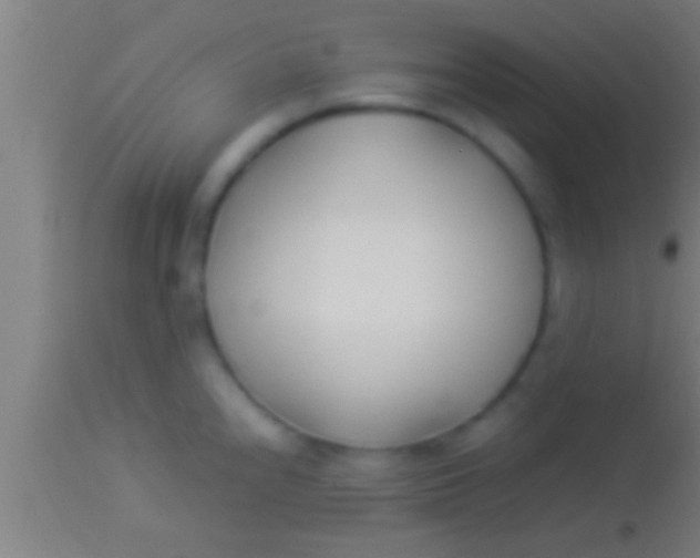 X0000113931240200910161843