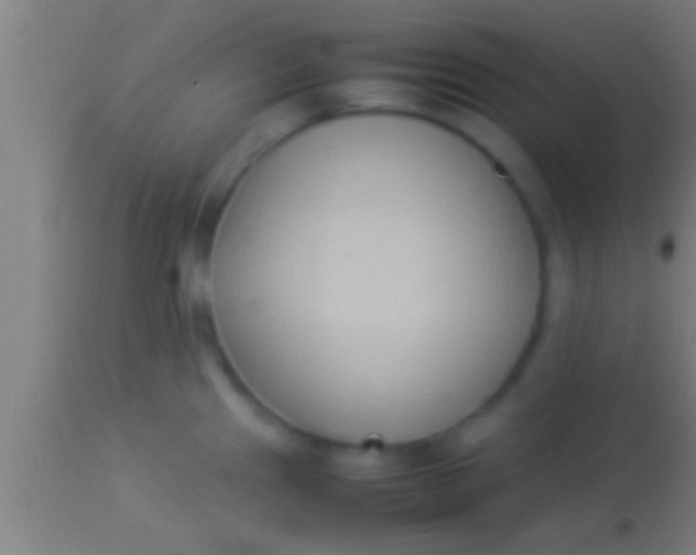 X0000113931241200910161843