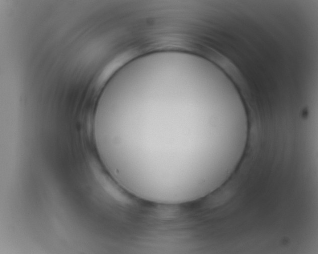 X0000113931242200910161843