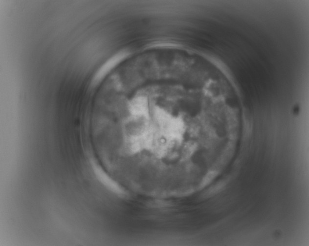 X0000113931245200910161843