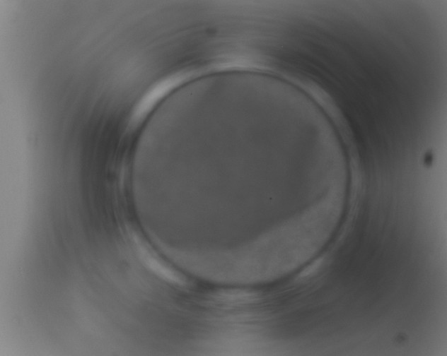 X0000113931246200910161843