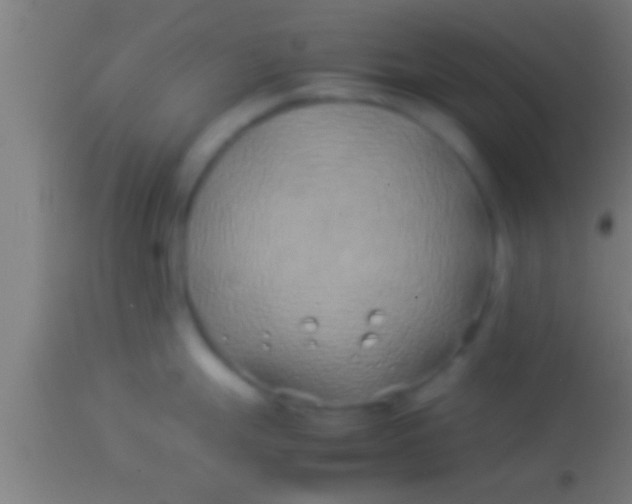 X0000113931247200910161843