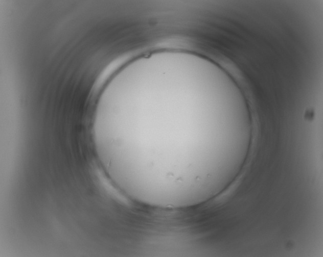 X0000113931248200910161843