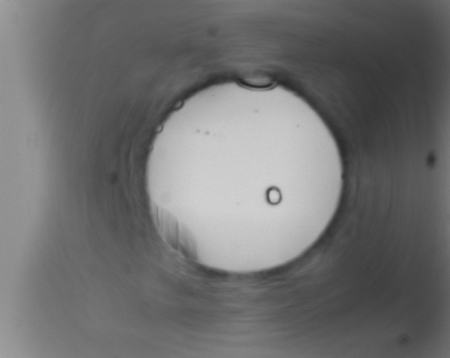 X0000113931249200910161842