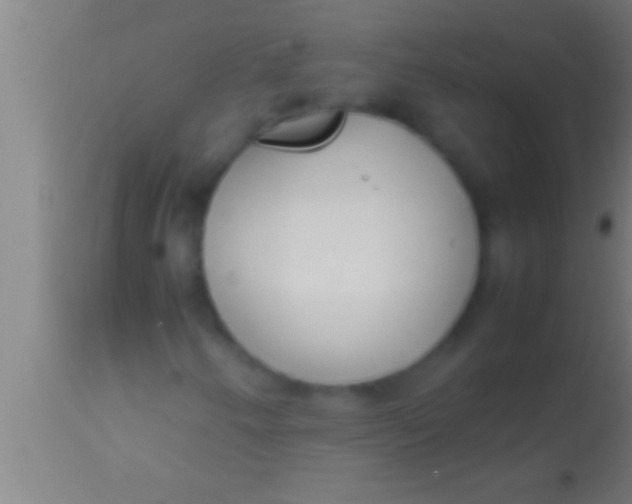 X0000113931250200910161842