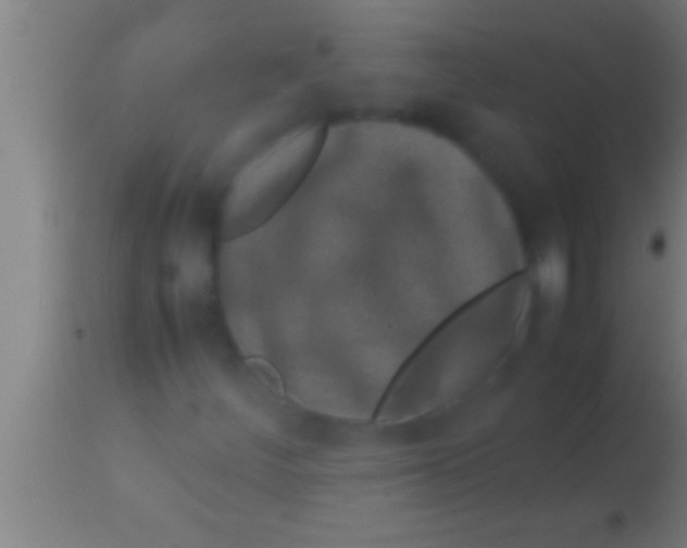 X0000113931252200910161842