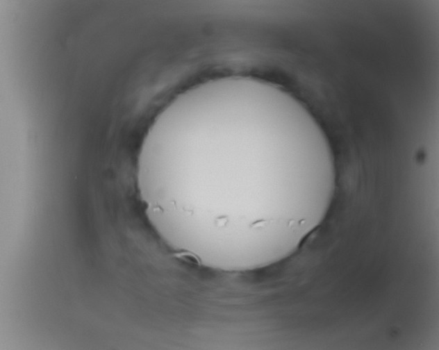 X0000113931253200910161842