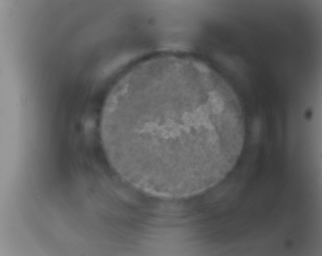 X0000113931254200910161842