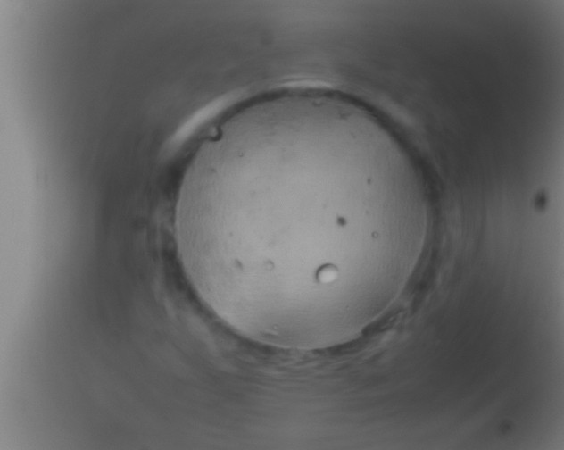 X0000113931255200910161842