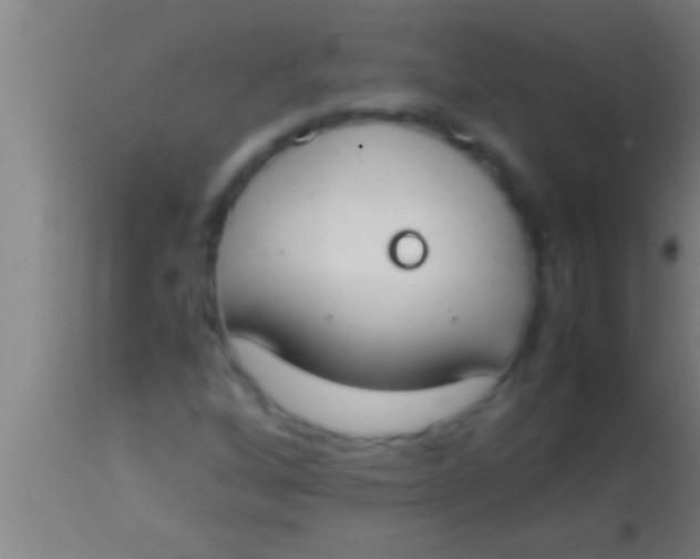 X0000113931256200910161842