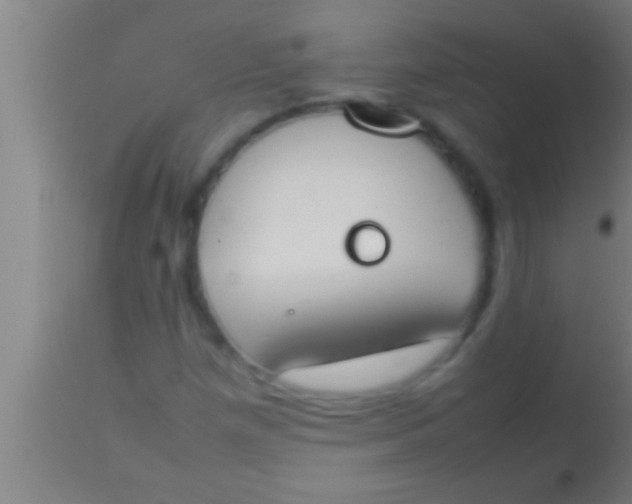 X0000113931257200910161842