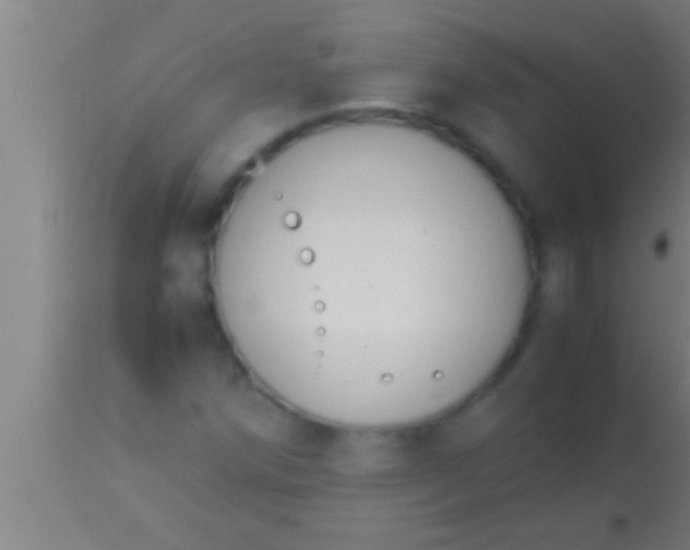 X0000113931258200910161842