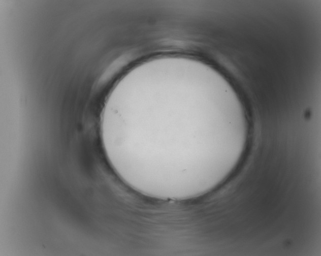 X0000113931259200910161842